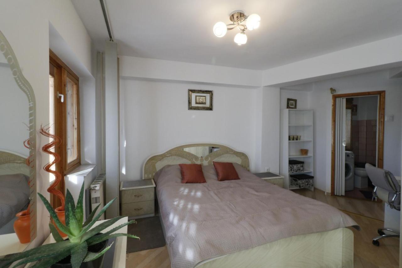 Danielle Apartament Iasi Extérieur photo